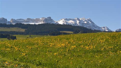 wanderwege appenzell|Wandervorschläge Appenzellerland